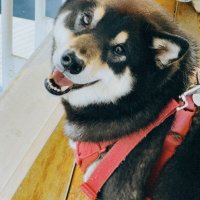 凱恩 (@kailin640816) 's Twitter Profile Photo