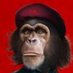 El Che Pas (@agendacriminal2) Twitter profile photo El Che Pas (@agendacriminal2) Twitter profile photo