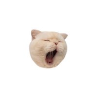 AKK2KUB (@akk2kub) 's Twitter Profile