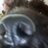 jonpenton's profile image