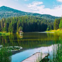 طلال (@mjhwl635799) Twitter profile photo