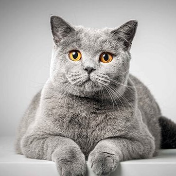 coingarden02's profile picture. Blockchain & Web3 Enthusiast 🌐
$ARB $ETH $EIGEN $ZRO