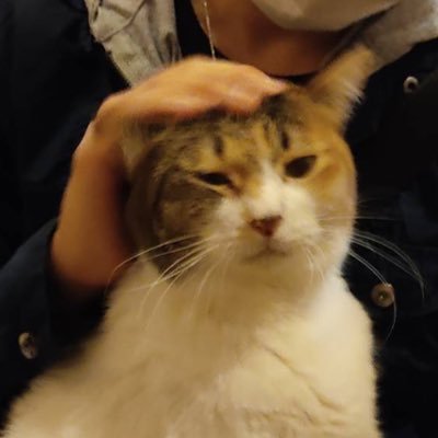DDRがメインですがKONAMI系の音ゲーは一通り触ってます。DDRメインカード「ALIAM」(ノンバー専用) 、バー持ちの時はサブカード「UN-RE」でプレイしてます。