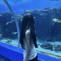 なゆ (@m6_t0_) 's Twitter Profile