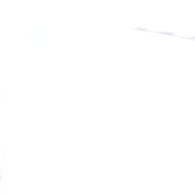 nian11568041's profile picture. 