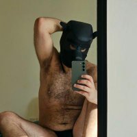 Your Arab Pup (@yourarabpup) 's Twitter Profile Photo Your Arab Pup (@yourarabpup) 's Twitter Profile Photo