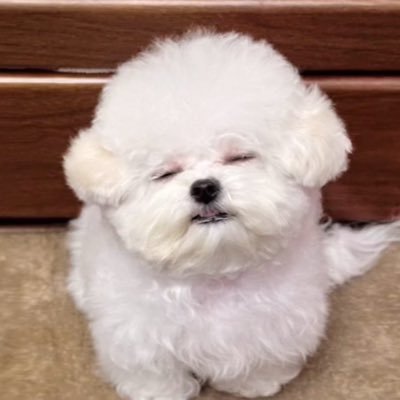 joanne405169's profile picture. zb1