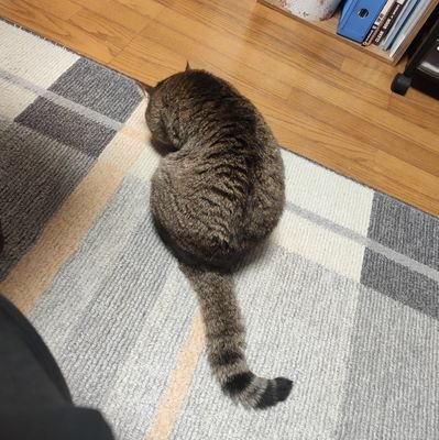 旧姓︰樋口。読みは あいら と申します。社畜でウイスキー好きのメンタルつよつよオタク。月曜日と仕事とお酒が好物。猫アレルギー持ちの猫ラブ勢。企業勢・個人勢問わず応援しています。おおきに。