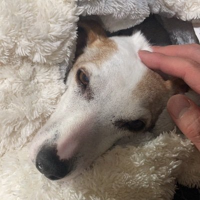 kksv0573's profile picture. 一級建築士を目指す男、社会人になってより頑張るために色々やってます！
動画編集の仕事待っております！