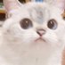 ㅇㅅㅇ (@l_hui_l) Twitter profile photo ㅇㅅㅇ (@l_hui_l) Twitter profile photo