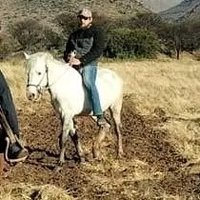 The Red Horseman (@lusijoukaki) 's Twitter Profile