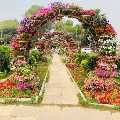 Delhidiaries_12's profile picture. Delhi beauty