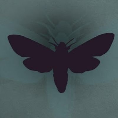 Rogan_GVLD's profile picture. 