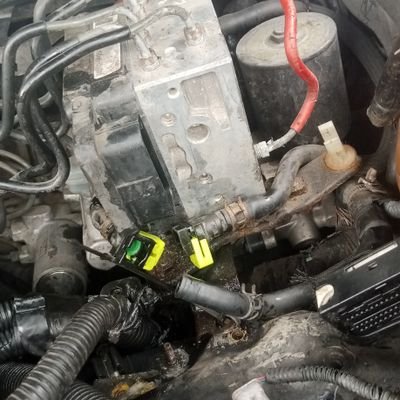 Father š
technicianšš§°š§
4ļøā£0ļøā£+years of automobile service experienceš
farmerš«š
web3 enthusiastš¤š