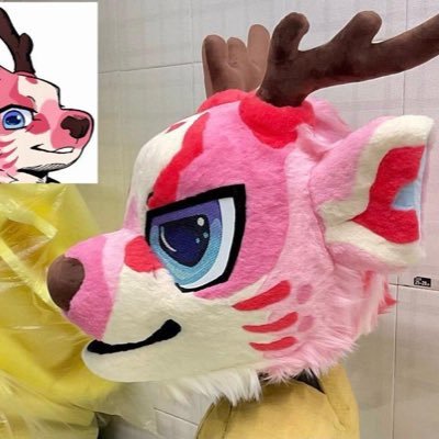 professional furry content creator 😉 Commission open ♥️ new here SFW/NSFW 🔞minor dni 💡FURSUITE MAKER 😎