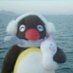 noot noot :3 (@cyvarchives) Twitter profile photo noot noot :3 (@cyvarchives) Twitter profile photo