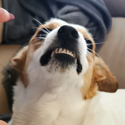 flaviustaban's profile picture. 🌑👁️無限月読 👁️🌑