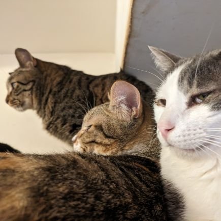 tyajSAUc2w90881's profile picture. 