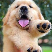 telugu_abbayeeeee (@vikram_vaasu) 's Twitter Profile
