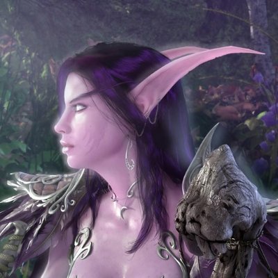 Maiev Shadowsong 's lawyer (Slayer of Sin'dorei)さんのプロフィール画像