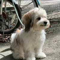 WEILEFY (@weilefy) 's Twitter Profile