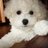 09senna25's profile image