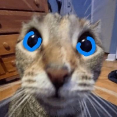 ikaryzm's profile picture. włóczęga, niespokojny duch
pv; @ruhanie69