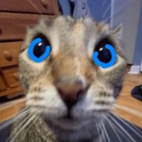 Katarynka (@ikaryzm) 's Twitter Profile