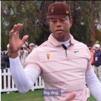 TigerDillingham2.0 (@tigerdilly2) 's Twitter Profile