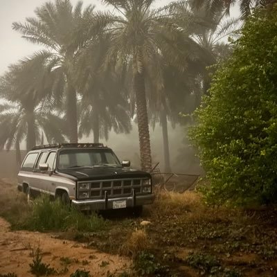 Chameleonko's profile picture. A Chameleon by day and a devout healer by night