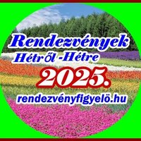 Varga Vilmos (@rendfi) 's Twitter Profile