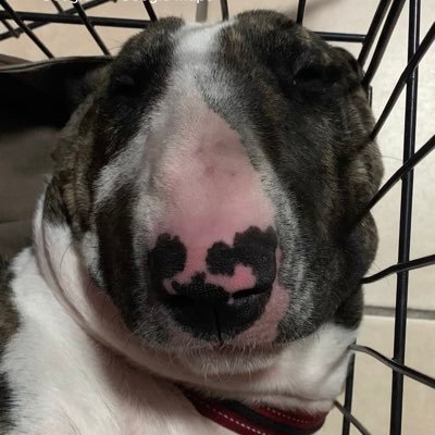 HanruV2000's profile picture. 