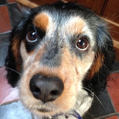 NFFC NUTS 🏹🏹🌳🌳love my family.. my lad 🐾RIP mum and dad🕊️🕊️🪽🪽like me or not!!! don’t give a flying btw🖕