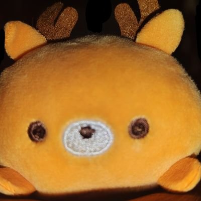 99217IlxllGz2wh's profile picture. 鳥大 06 工