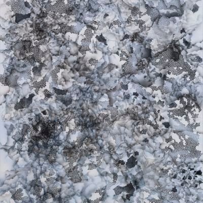 ROH113311's profile picture. 