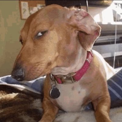 assholemunch's profile picture. 