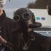 Kazoo (@the_dusty_ghoul) Twitter profile photo Kazoo (@the_dusty_ghoul) Twitter profile photo