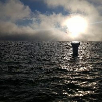 Wolfcastel87's profile picture. 