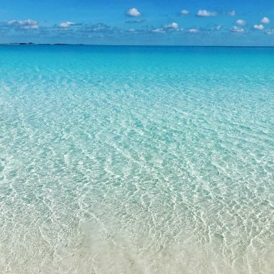 Brittan53173326's profile picture. 