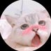 。 (@xzullro) Twitter profile photo 。 (@xzullro) Twitter profile photo