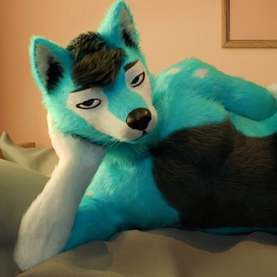Lvl22. A playful husky vibing day by day. live, love and snuggle 🐶
could be suggestive sometimes but this is an sfw acc