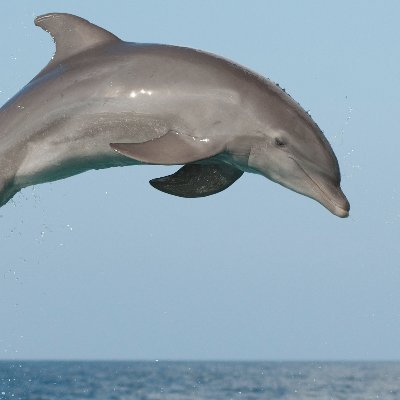 sleepylabyrinth's profile picture. My daily thoughts