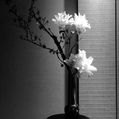 tls143_'s profile picture. ◼️◼️◼️