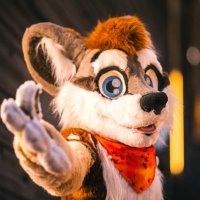 Quill (@numbatquill) 's Twitter Profile Photo Quill (@numbatquill) 's Twitter Profile Photo