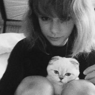 dbatcdelfi's profile picture. aguante taylor los demás pueden morir