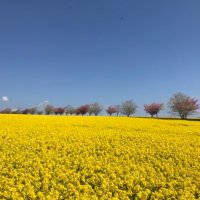Gino Satti 💜 (@bluenileman53) 's Twitter Profile Photo Gino Satti 💜 (@bluenileman53) 's Twitter Profile Photo