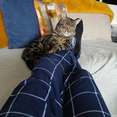 d141592's profile picture. 