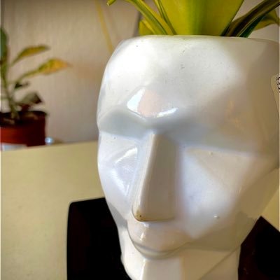noisemastering's profile picture. 