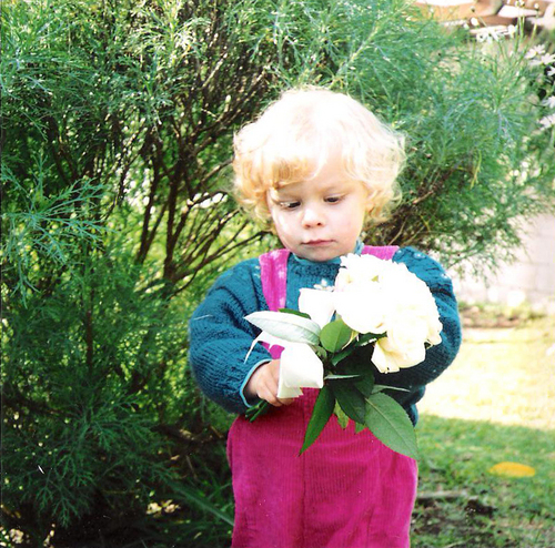 rachelllawson's profile picture. Designer at https://t.co/dv2ljs0RO2