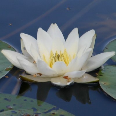 B32Edward95912's profile picture. Doing good crypto projects. Crypto analyst
BTCFi Solv https://t.co/KKue09xnRz
River https://t.co/CzAh882HeW